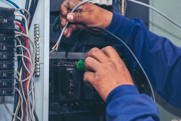Best Affordable Electrician  in Lake Sarasota, FL